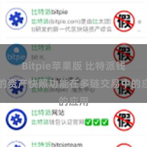 Bitpie苹果版 比特派钱包的资产快照功能在多链交易中的应用