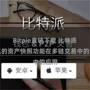 Bitpie直链下载 比特派钱包的资产快照功能在多链交易中的应用